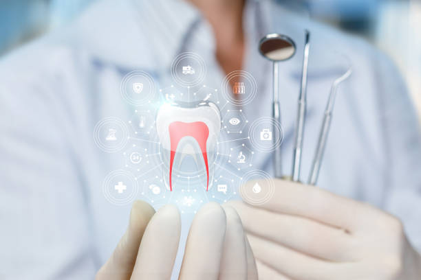 Trusted Chattahoochee, FL Dental Services Experts